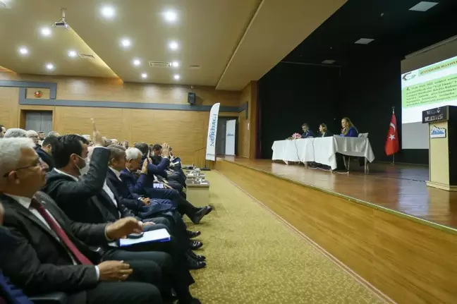 Gaziantep'te kar yağışında zarar gören zeytin bahçeleri için 20 bin zeytin fidanı dağıtacak