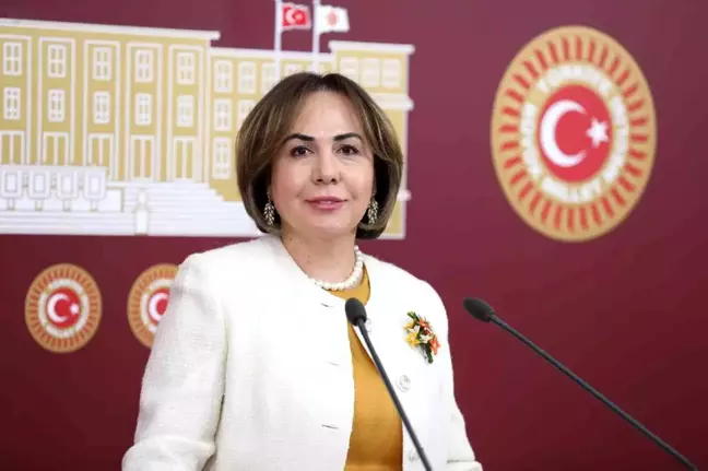 AK Parti'li Yılmaz: