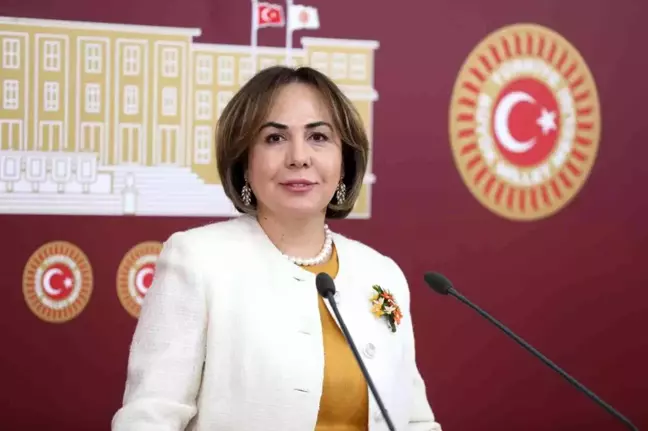AK Partili Yılmaz: