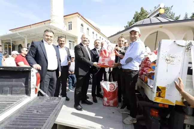 Sincan Belediyesin'den Ayçiçek tohum desteği