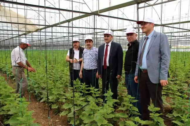 Konya'da İyi Tarım Uygulamalarının Yaygınlaştırılması Projesi sürüyor