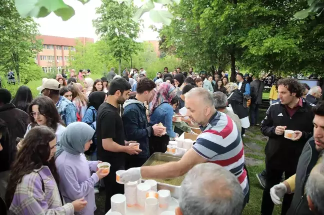 Tokat'ta madımak şenliği