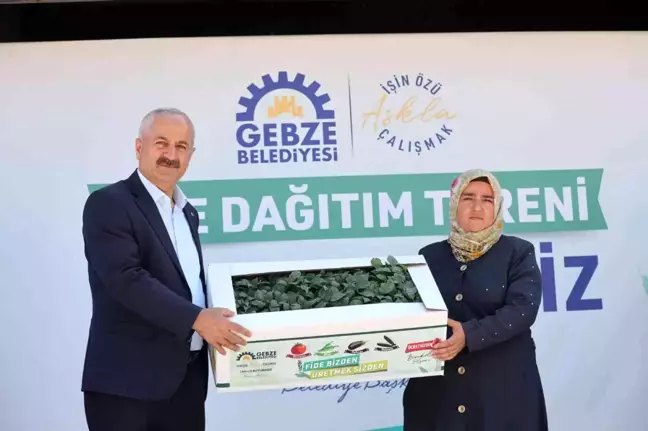 Gebzeli çiftçilere fide desteği