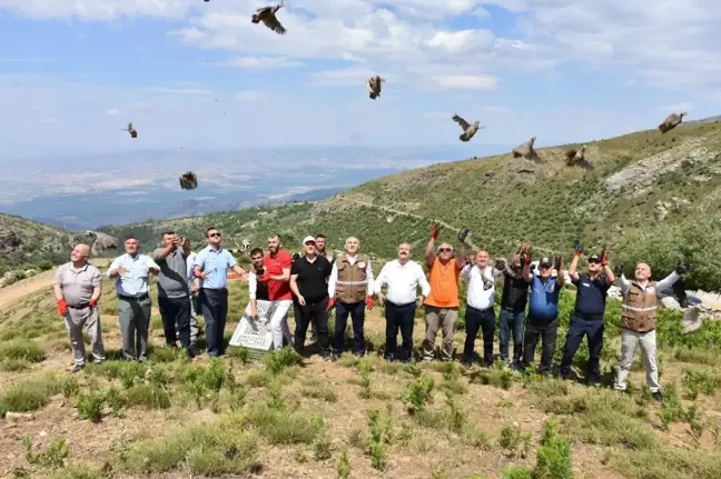 Manisa'da 250 kınalı keklik doğaya salındı
