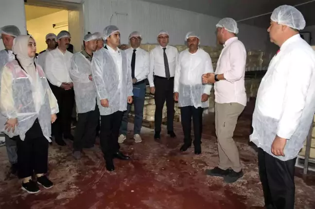 Vali Şıldak Manyas'ta çeşitli incelemeler de bulundu
