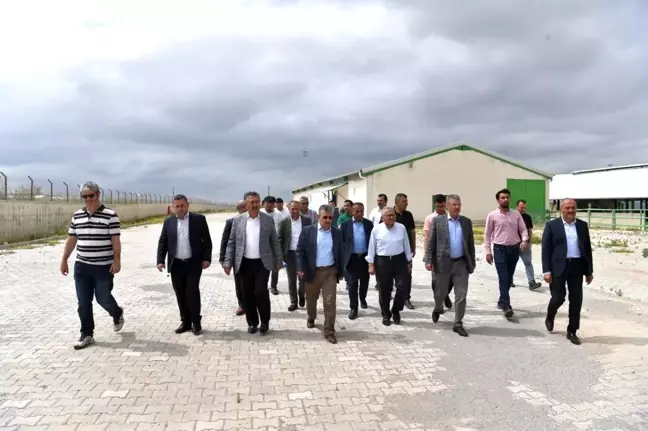 Başkan Büyükkılıç'tan Felahiye'de hayvancılığa yeni hamle