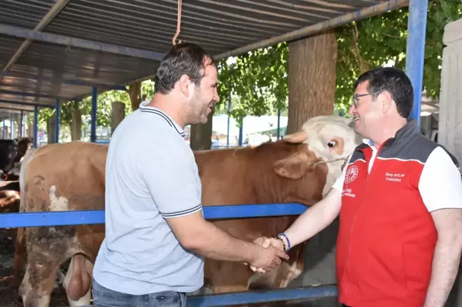Muğla'da kurban pazarı denetlendi