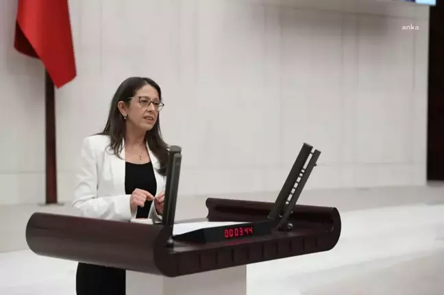 Oya Ersoy'dan Bakan Koca'ya: 