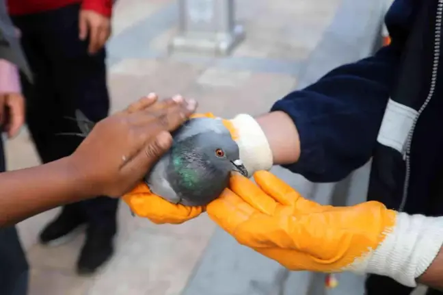 Çatıda asılı kalan güvercini itfaiye ekipleri kurtardı
