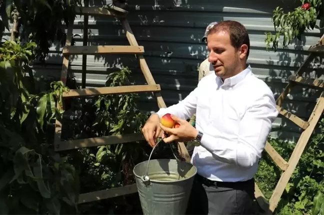 AK Partili Kılıç: