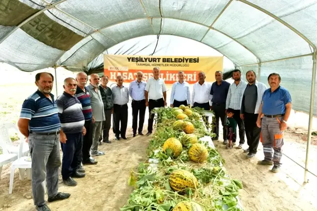 Başkan Çınar, kavun hasadına katıldı