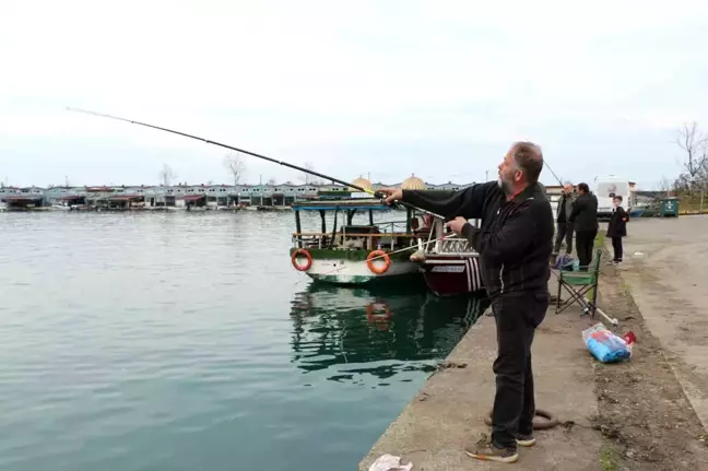 Trabzon'un kaçak somonları Rizeliler'in yüzünü güldürüyor