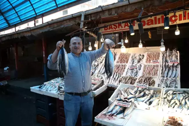 Bu senenin balık şampiyonu 'palamut' oldu