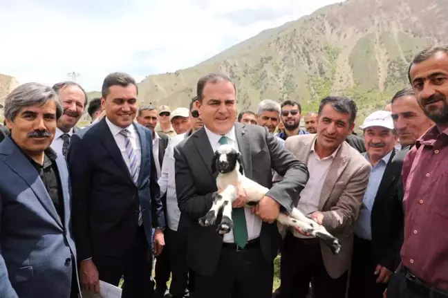 Hakkari'de 200 besiciye 4 bin küçükbaş hayvan dağıtımına başlandı