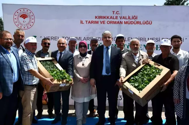 Kırıkkale'de çiftçilere 20 bin fide dağıtıldı