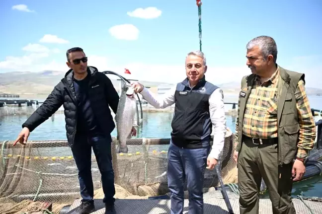 Denizi olmayan Kayseri'de Türk somonu hasadı başladı
