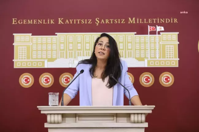 TİP Sözcüsü Kadıgil, Tutuklu Milletvekili Atalay'ın Tahliye Edilmemesini Meclis Gündemine Taşıdı
