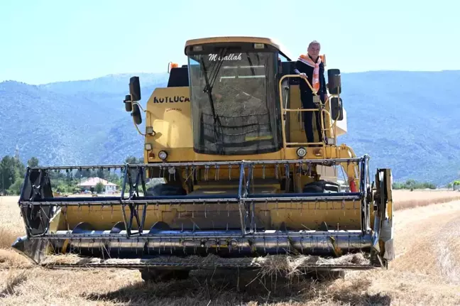 Antalya Büyükşehir Belediye Başkanı Muhittin Böcek, Korkuteli'de Biçerdöverle Buğday Hasadı Yaptı