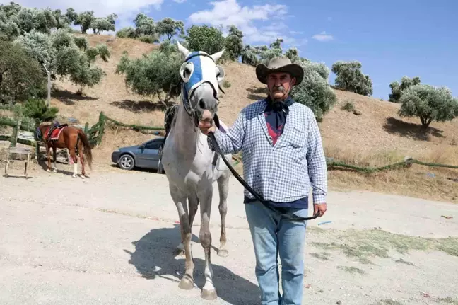 Kahramanmaraş'ta At Yetiştiricisi, Deprem Sonrası Atlarını Satıyor