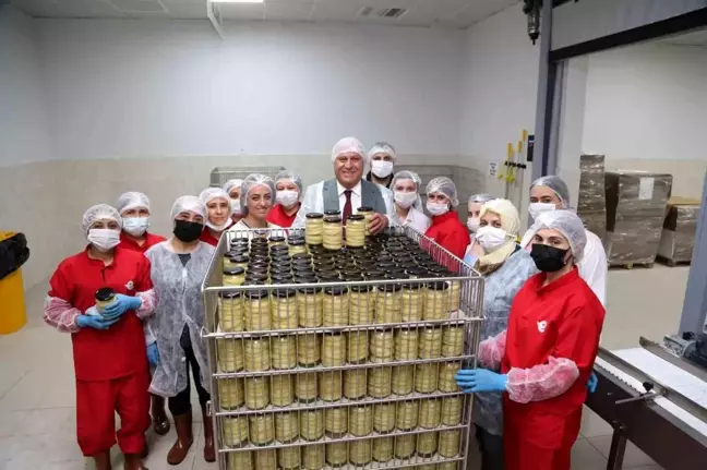 Efeler Belediyesi Yüzde 100 Kadın Emeği Tarımsal Ürün Fabrikası'yla Üretimi Destekliyor