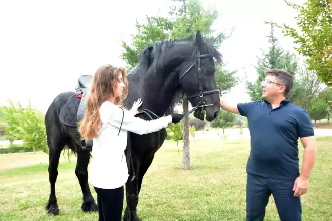 Balıkesir Üniversitesi Veteriner Fakültesi, İstanbul'dan gelen 8 cins ata ev sahipliği yapacak
