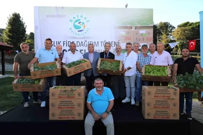 Beykoz'da 1 Milyon Ücretsiz Fide Dağıtımı Başladı
