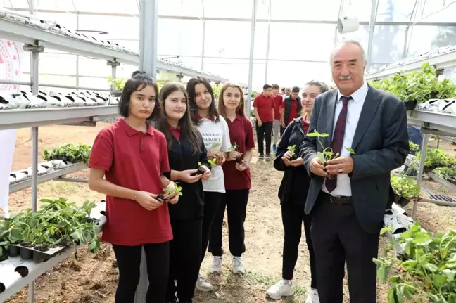 Eskişehir'de Tarım ve Orman Müdürlüğü tarafından çilek dikimi gerçekleştirildi
