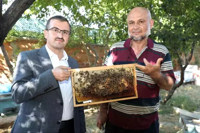 Çekerek'te Uysal Arılarla Tonlarca Bal Üretiliyor