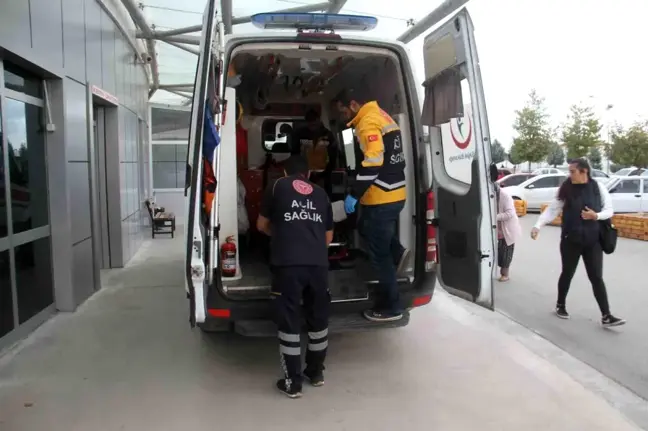 Ceviz toplamak için ağaçtan düşen 3 kişi hastaneye kaldırıldı