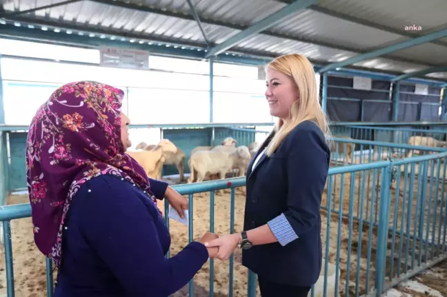 Merkezefendi Belediyesi Kadın Üreticilere Küçükbaş Hayvan ve Yem Desteği Sağladı