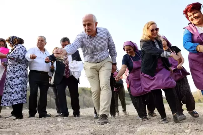 Akdeniz'de Kadınlar Organik Yeşillik Üretiyor Projesi