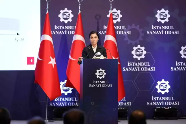 TCMB Başkanı Hafize Gaye Erkan: