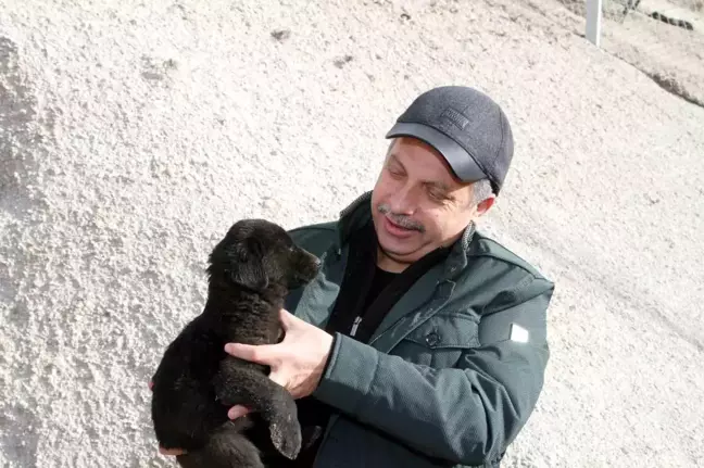 Talas Belediyesi Pati Evi Minik Dostlara Yuva Sıcaklığı Sağlıyor