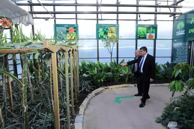 Fadıloğlu, Akay'a projelerle ilgili detaylı bilgi verdi