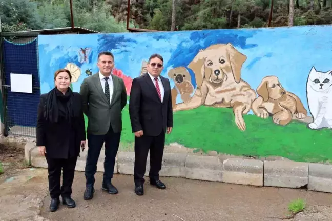 Marmaris Belediyesi Geçici Hayvan Bakımevi'nde İncelemeler Yapıldı