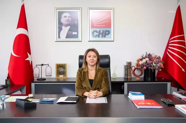 CHP Genel Başkan Yardımcısı Gül Çiftçi Binici: 'Seçmen listelerini kontrol edin'