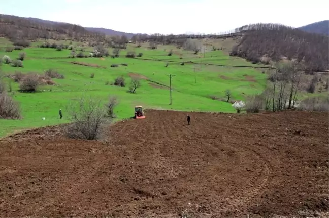 Ordu'da Nitelikli Tarım Projeleriyle Atıl Arazi Üretimde Değerlendirildi