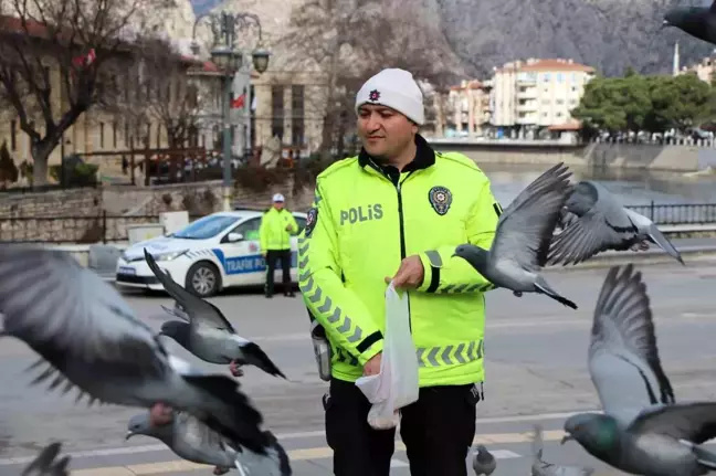 Amasya'da trafik polisi güvercinleri besledi