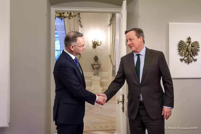 Polonya Cumhurbaşkanı Andrzej Duda, İngiltere Dışişleri Bakanı David Cameron'u kabul etti