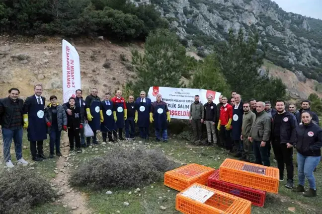 Manisa'da Süne ve Çekirge Zararlılarına Karşı Biyolojik Mücadele Projesi Kapsamında Keklik Salımı Yapıldı