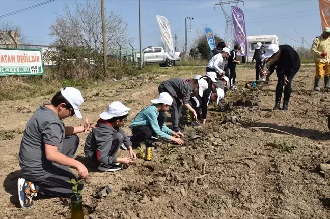 Samsun'da Dünya Ormancılık Haftası kutlamaları
