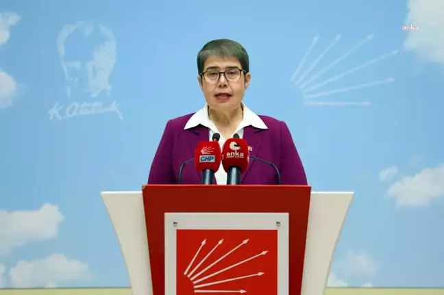 CHP Genel Başkan Yardımcısı Zeliha Aksaz Şahbaz: Sağlıkta Şiddetin Sorumlusu Siyasi İktidardır