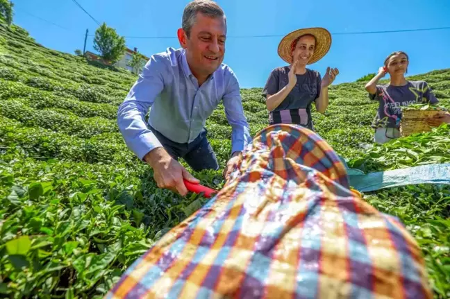 CHP Genel Başkanı Özgür Özel Rize'de Çay Mitingi Düzenledi