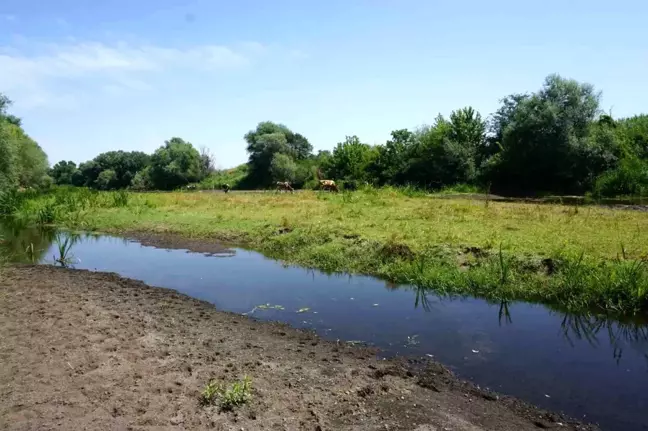 Edirne'de Tunca Nehri Kuruma Noktasına Geldi