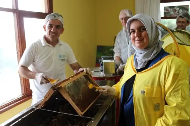 Düzce Kestane Balı Sağımı Başladı