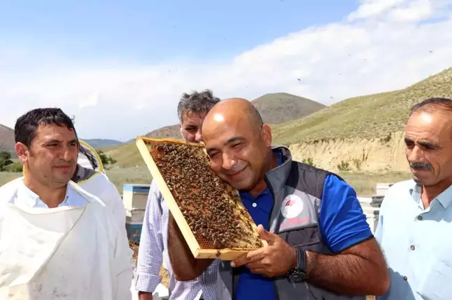 Oltu İlçesinde Ana Arı Üretim Kursu Açıldı