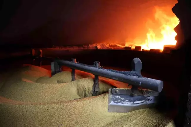 Bozkır'dan Kara Fırında Üretilen Tahin Yurt Dışına Gönderiliyor