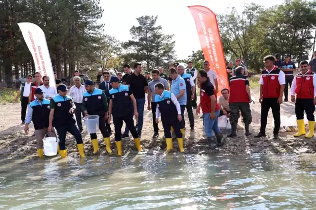 Damsa Barajı'na 350 Bin Yavru Sazan Balığı Bırakıldı