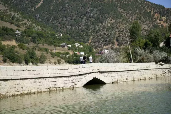 Gümüşhane'de Tarihi Köprü Vatandaşları Mağdur Ediyor