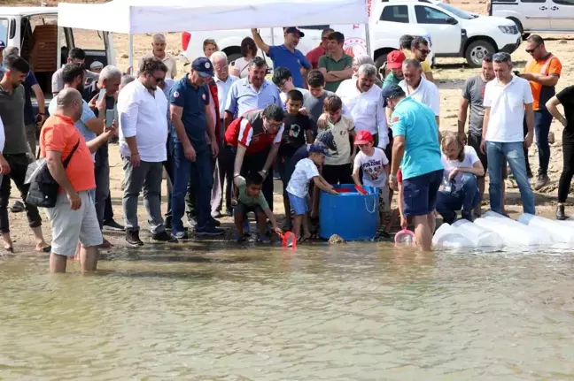 Muğla'da 370 Bin Sazan Yavrusu Doğal Su Kaynaklarına Bırakıldı